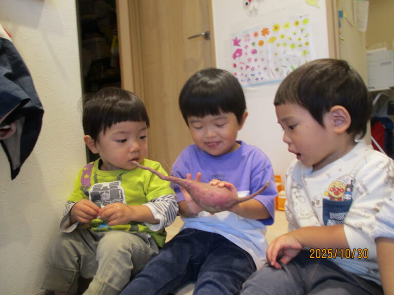 お芋掘り第二弾　ぬけたぬけた～！（１歳児　だいち組）