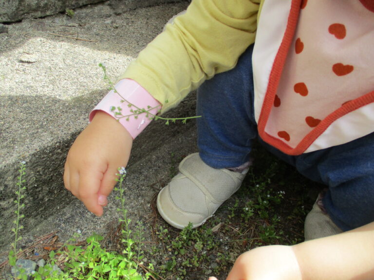 おいしい！かわいい！春み～っけ！🌼🍓（１歳児　だいちぐみ）