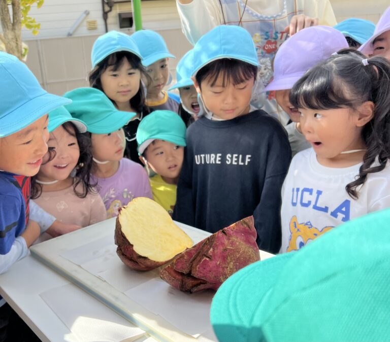 おっきいね☆中はどうなっているかな？？