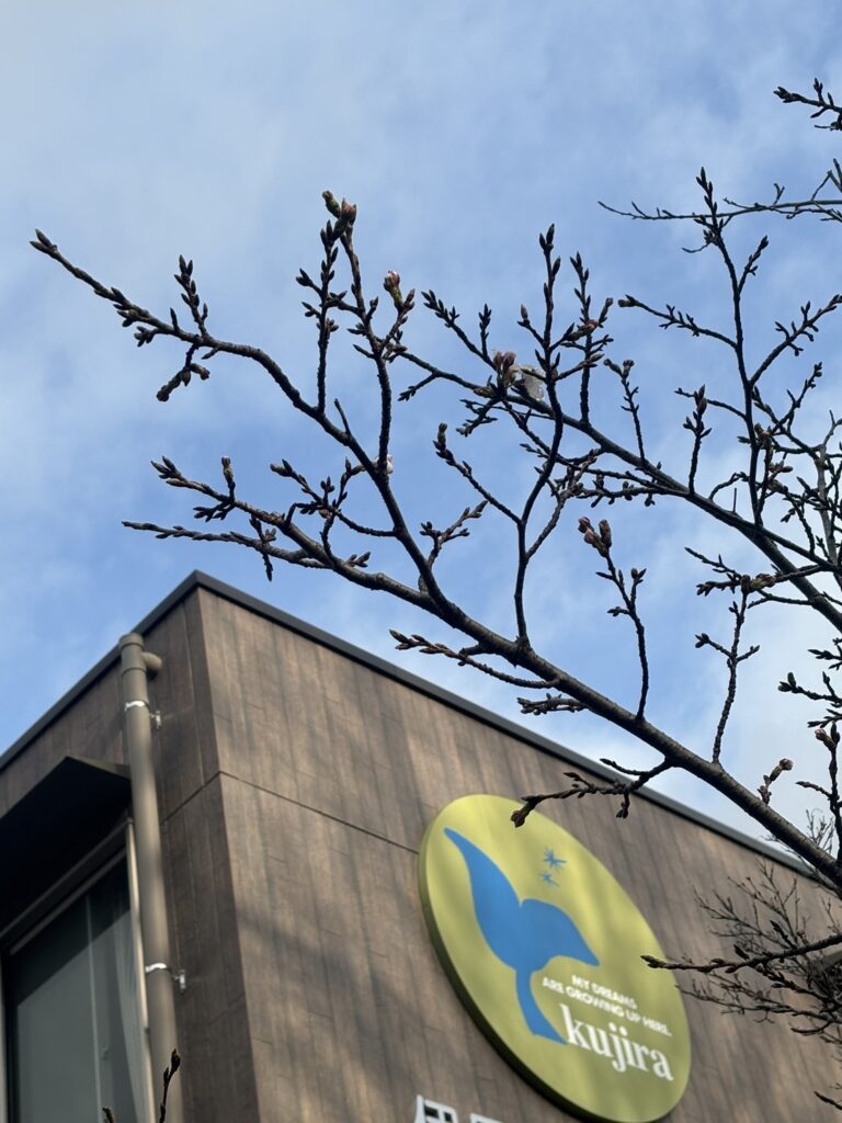 春って・・・・🌸