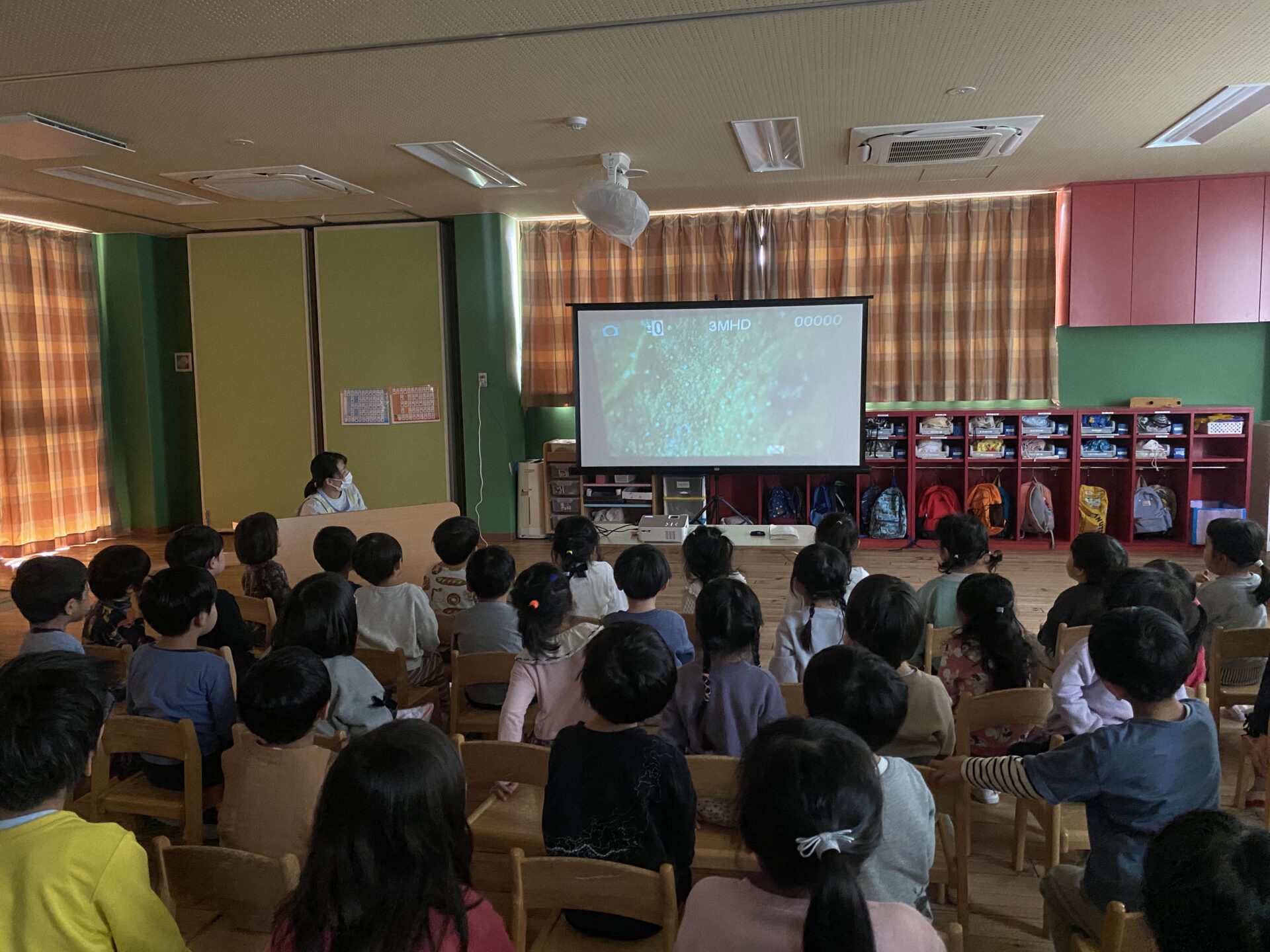 おもしろいことなんでもくじら級