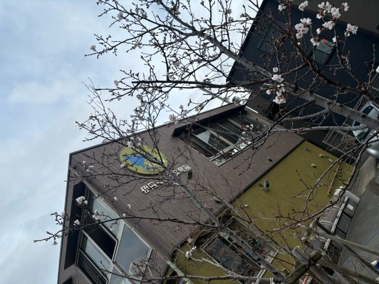 新たな気持ちで・・・🌸