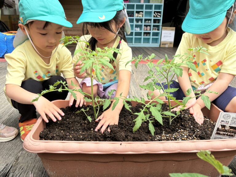 4・５歳児　そら・くじら組