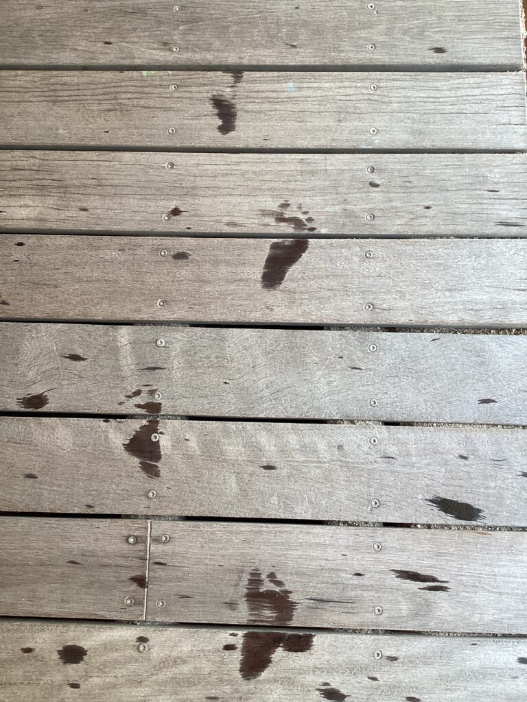 うみぐみ（0歳児）