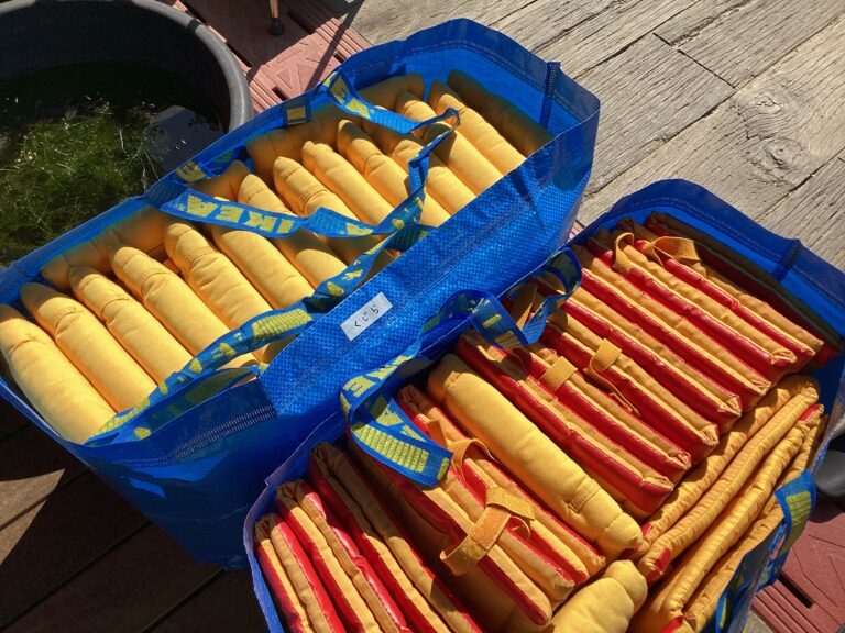 3.11 　東日本大震災