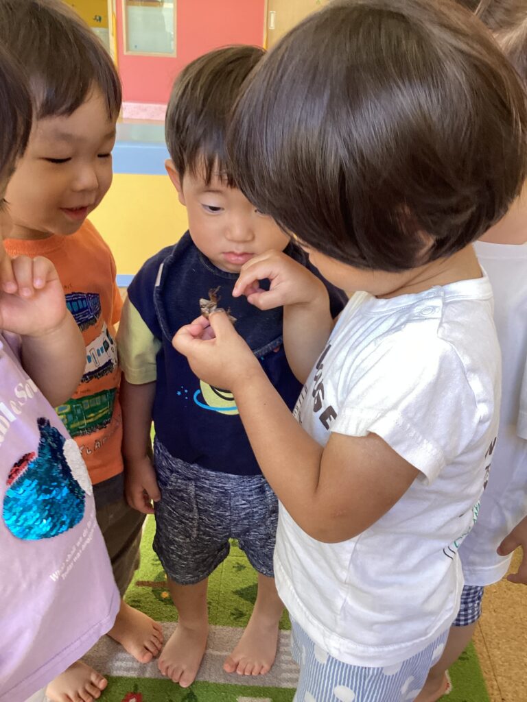 だいち組(1歳児)🌱