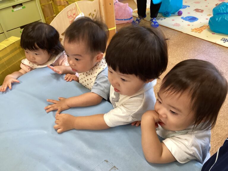 うみ組🪼0歳児
