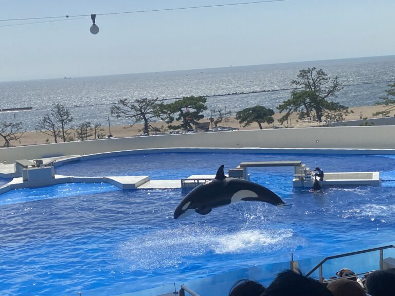 神戸須磨シーワールド🐬（５歳児くじら組）
