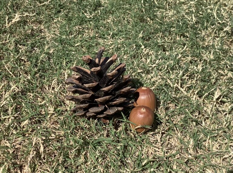 サンタクロースは誰のため？