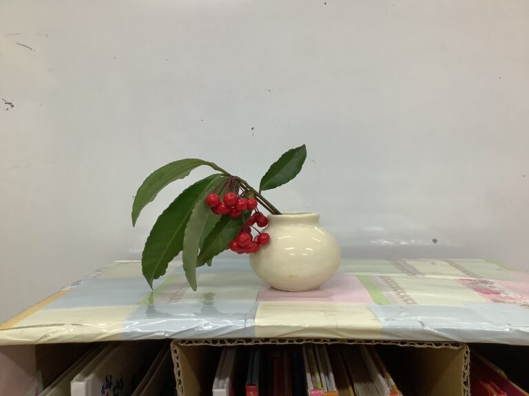 出会いと、世界🌏の広がり