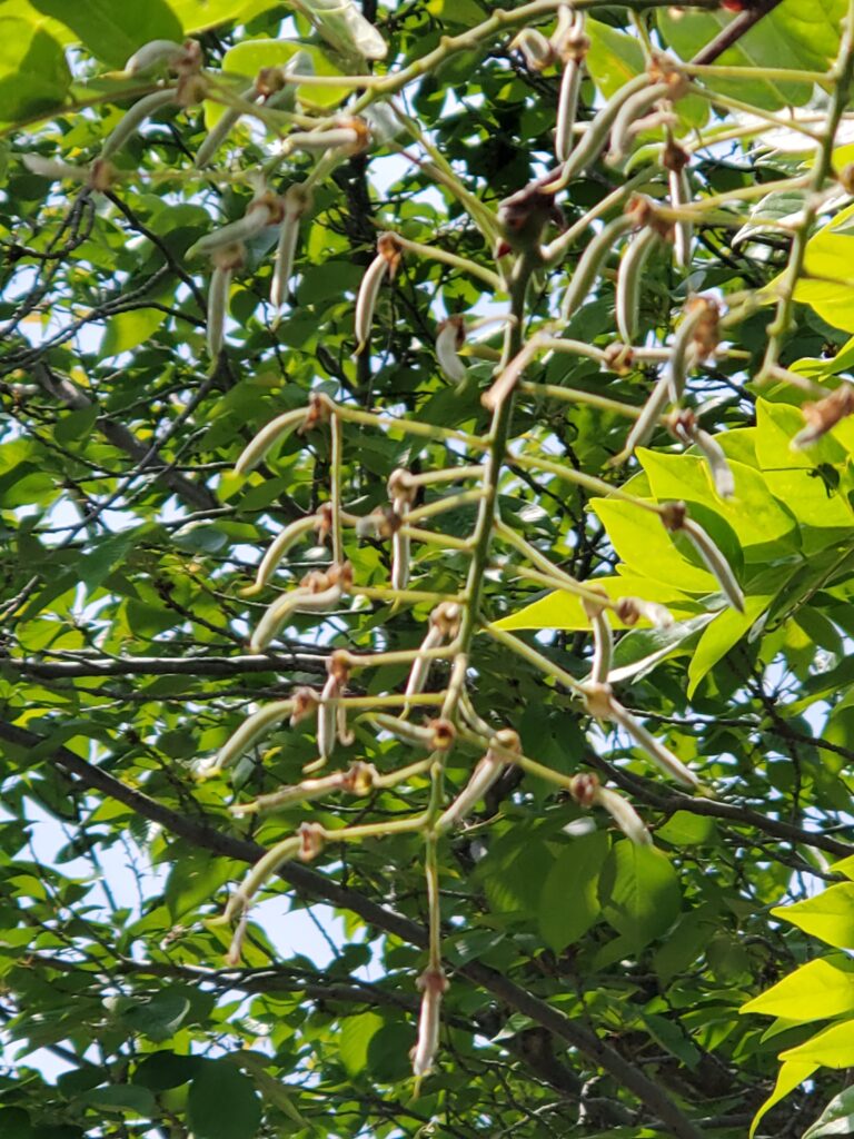 「目的」があるということ