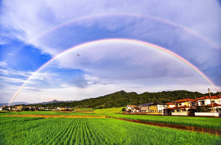 <strong>♪親子で楽しむオリジナルお遊ぎコンサート♪</strong>