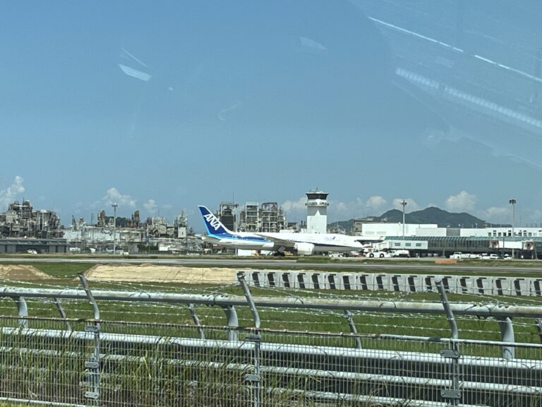 「きたー！」（くじらチーム）