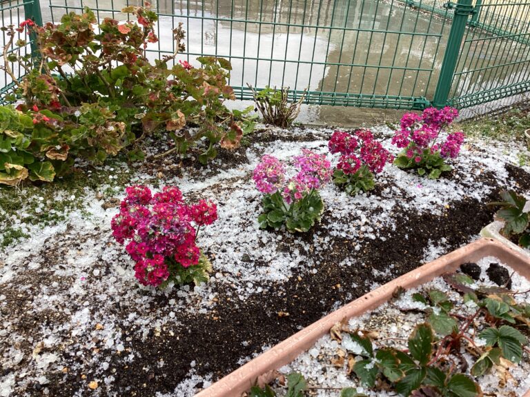 本日【１/２８】雪景色⛄