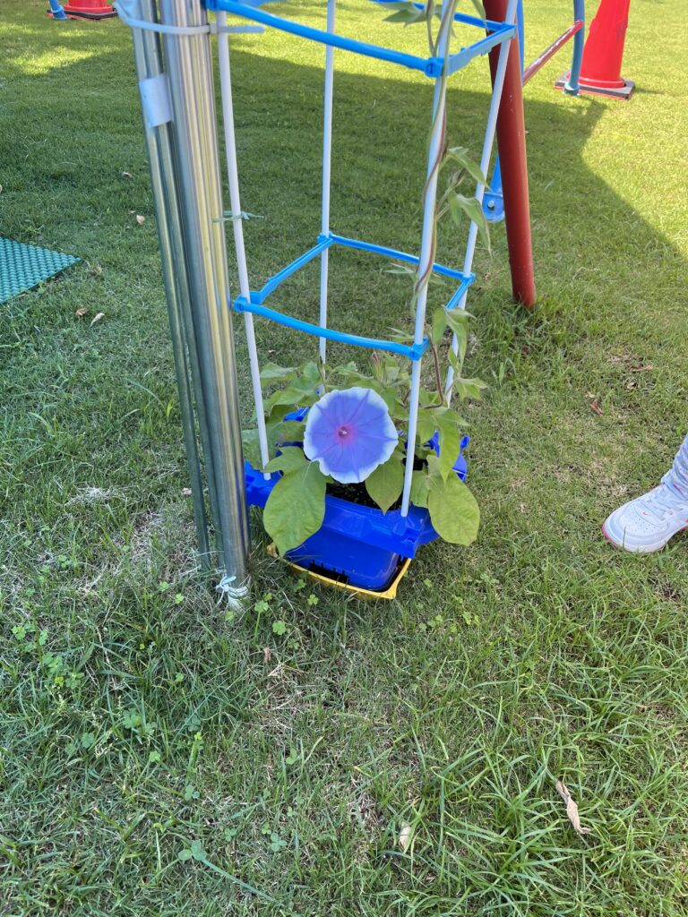 ささのはー　さーらさらー🎋（しろくじらチーム）