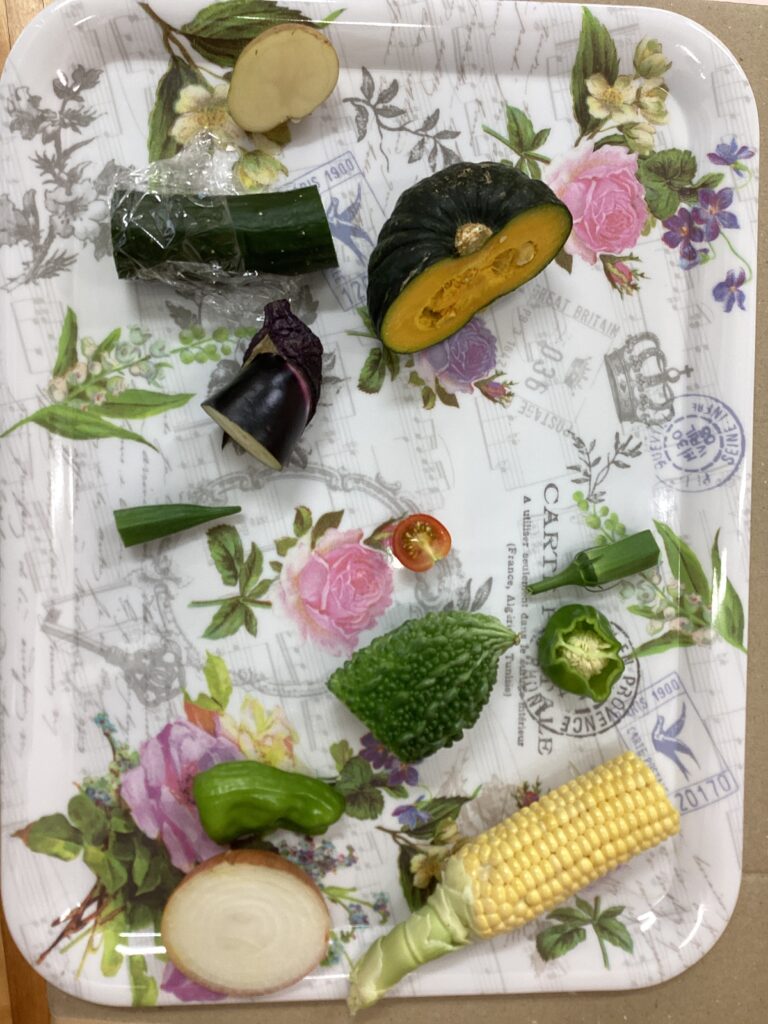 やさいのおなか！？（あおくじらチーム）