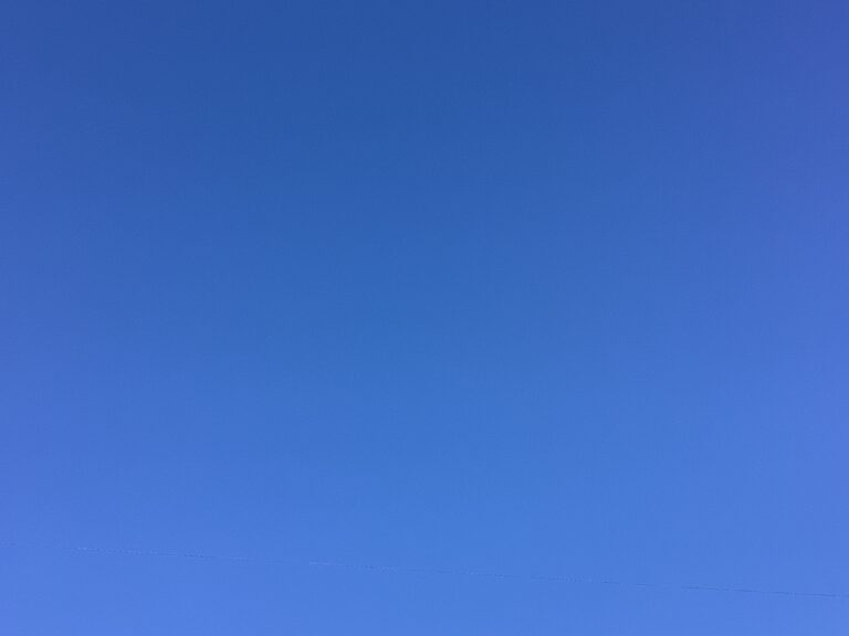 ８月も楽しかったね♪（あおくじらチーム）