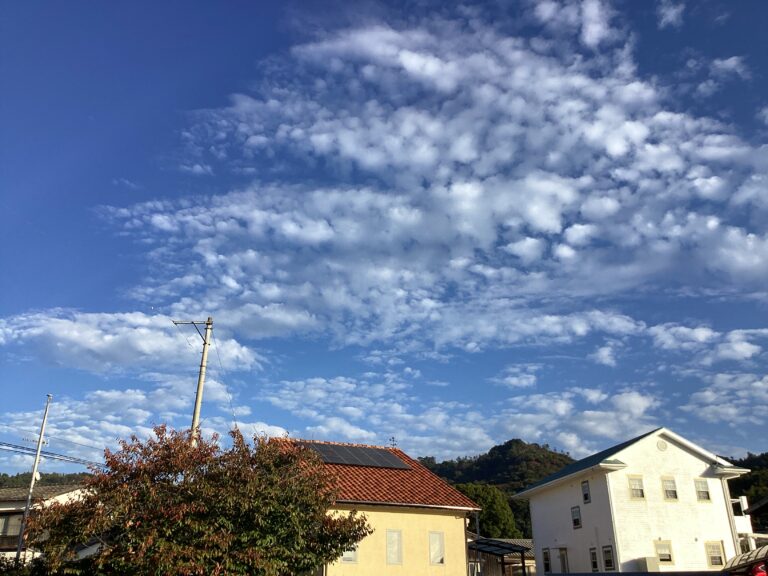 てくてく…🍊🍂（あおくじらチーム）