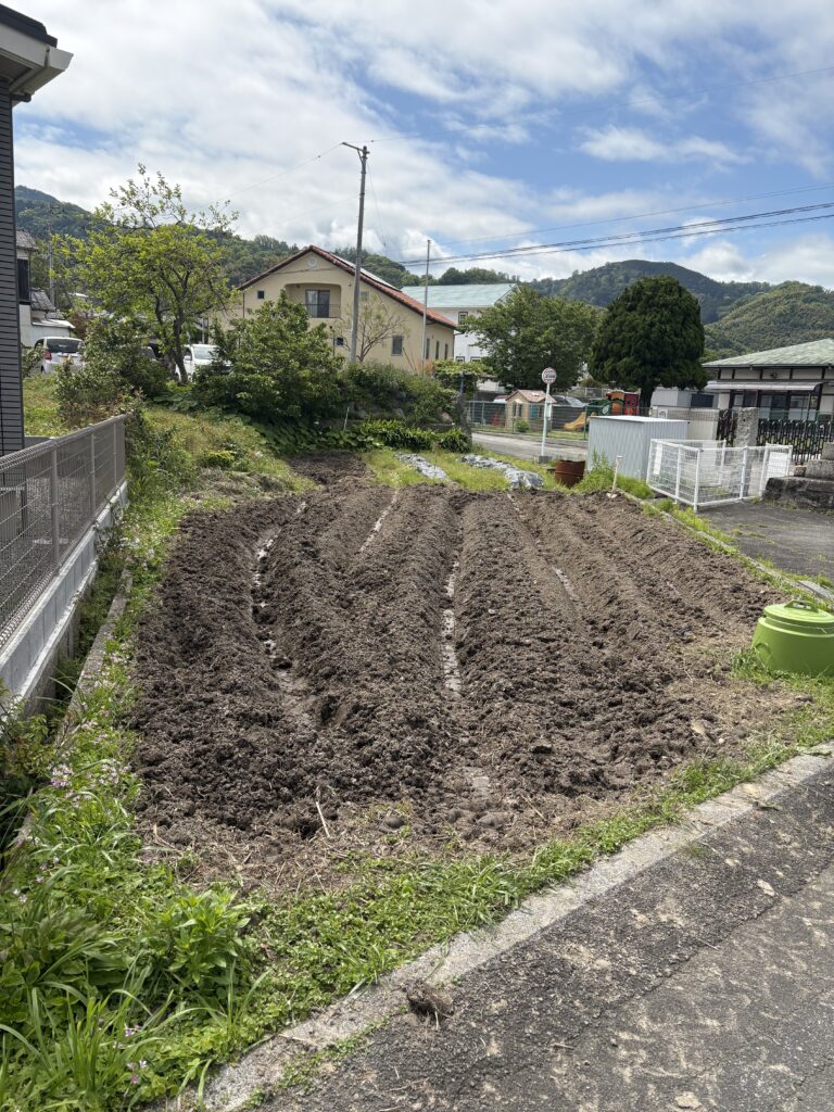 くじらの畑