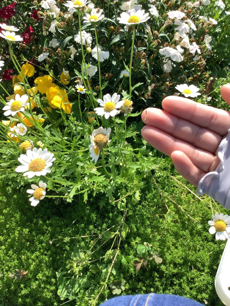 こんにちは、あかちゃん。