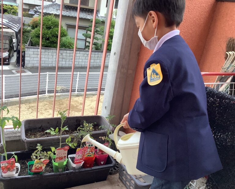 今年もトマト🍅を植えよう