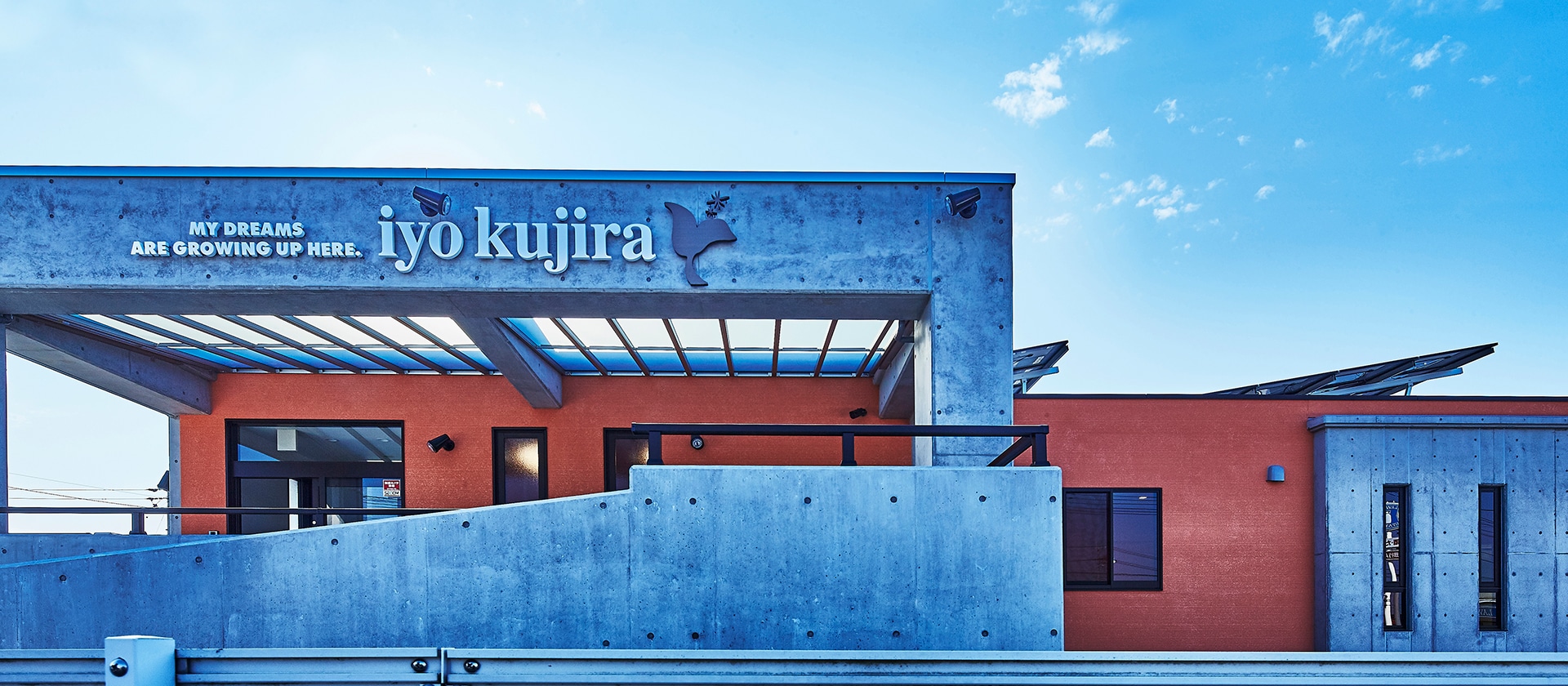 おもしろいことなんでもくじら級