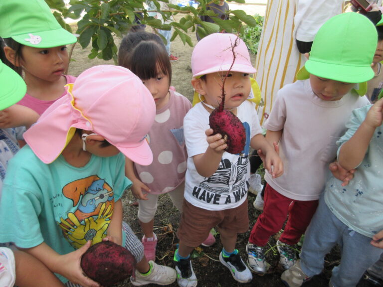 伊予くじら認定こども園が大切にしていること