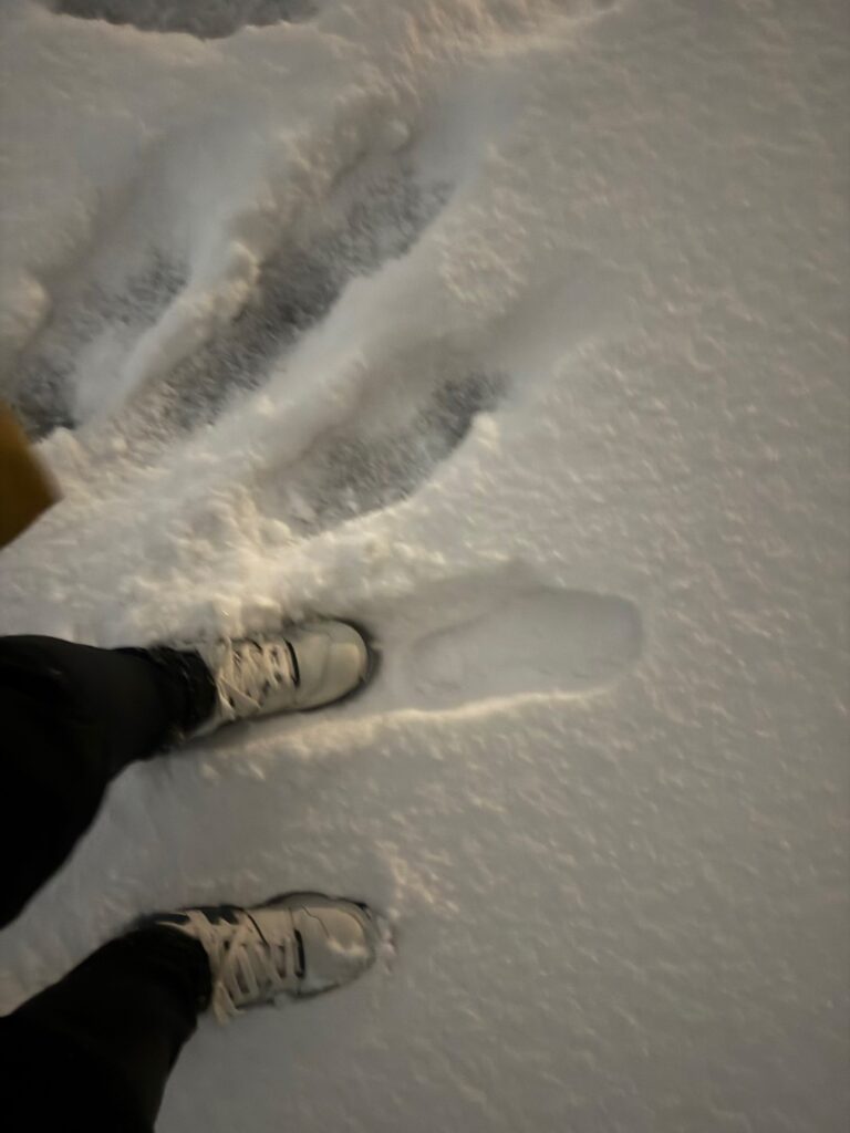 大雪警報発令⛄