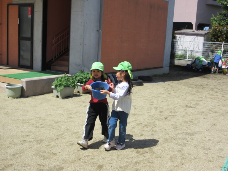 わっしょい！畑作り！(５歳児)