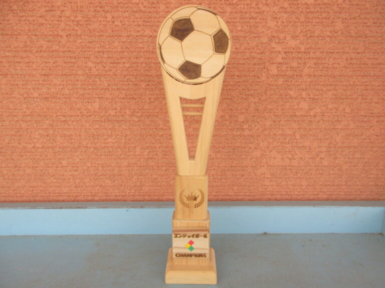 エンジョイボール⚽(５歳児)