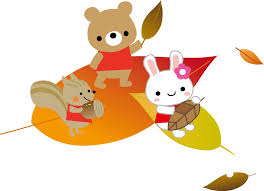 １１月になりました🍂