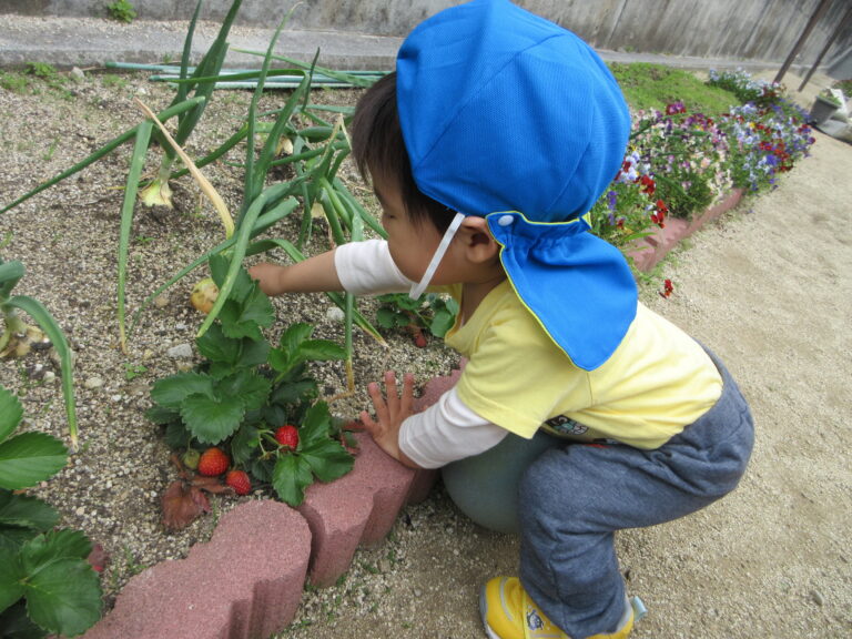 「いやだ…」離れたくない！🍓
