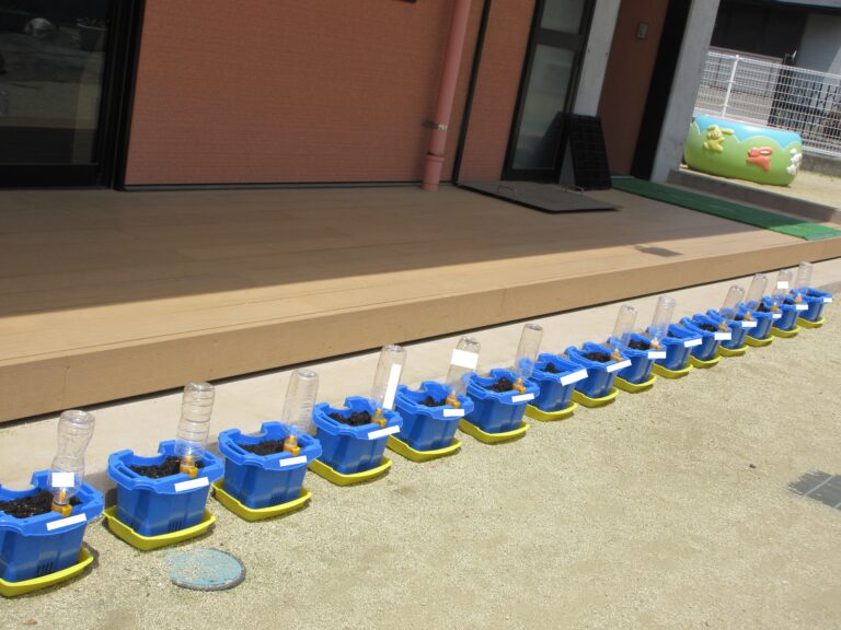 「まいにちの水やり、がんばるぞ🌱」（５歳児）