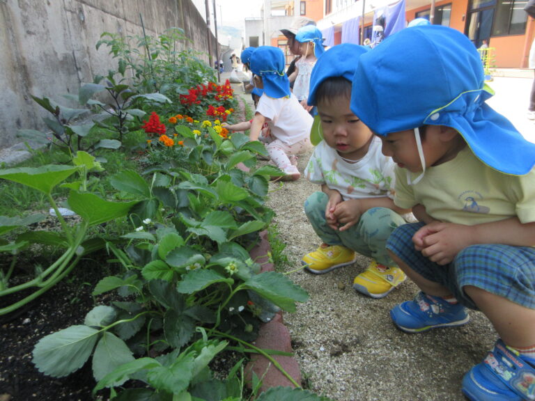 野菜が大きくなったよ！(1歳児)