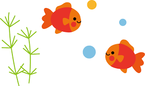 きんぎょがにげた🐟(１歳児)