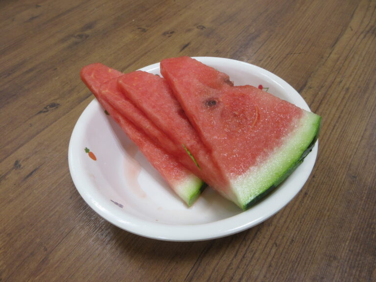夏の味覚を楽しみました🍉！