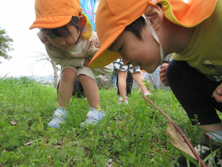 ２０２６年度　幼稚園部入園願書受付のご案内