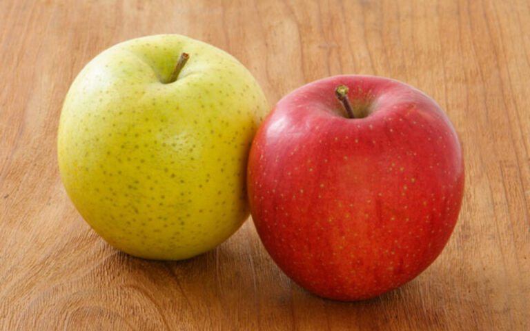 秋の食育を楽しみました🍎(2歳児)