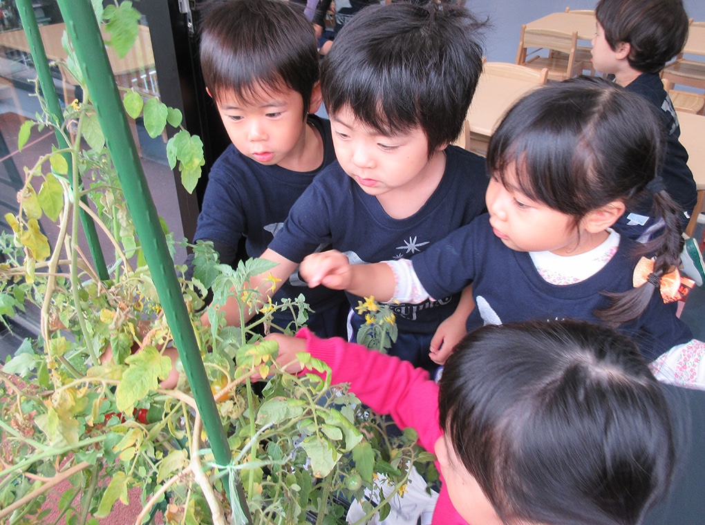 FEATURES園の特色