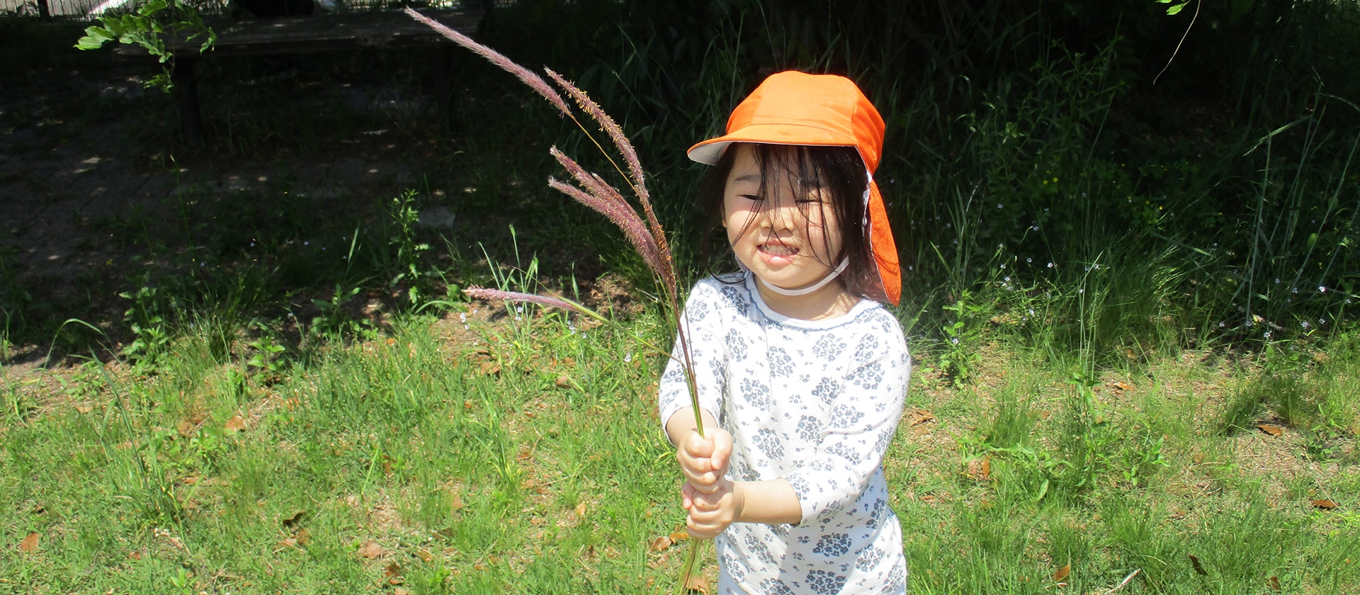 おもしろいことなんでもくじら級