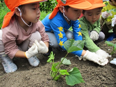 かがやきくじら保育園が大切にしていること
