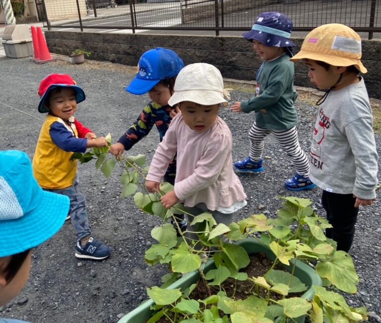 さつまいもと こんにちは🍠