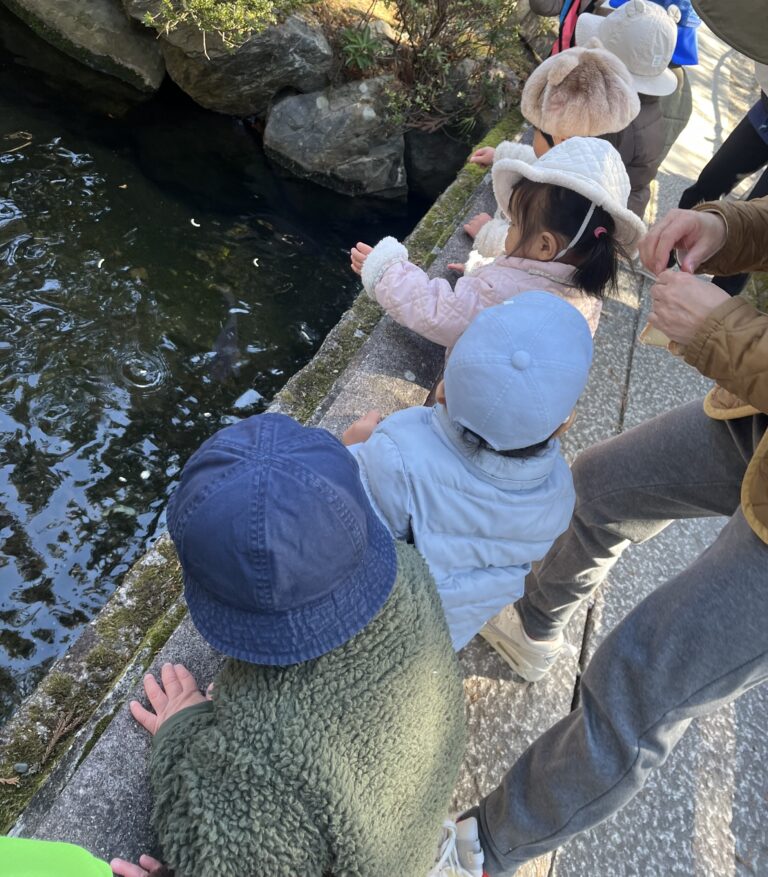 鯉にごはんをあげたよ🍚