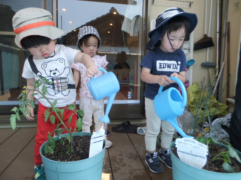 苗植え・種まき🌱