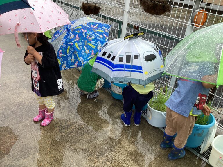 雨の日も楽しいね