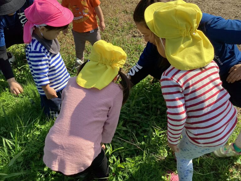 みんなでおさんぽ＊