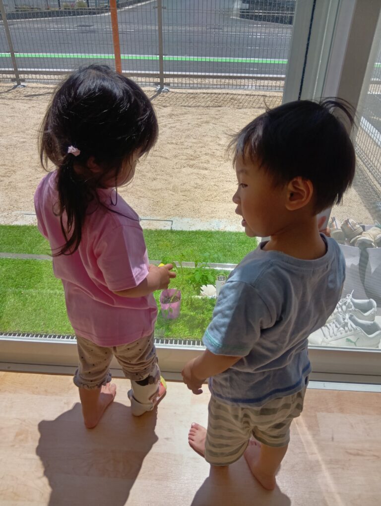 2歳児あめチーム「トマトちゃんおおきくなあれ」