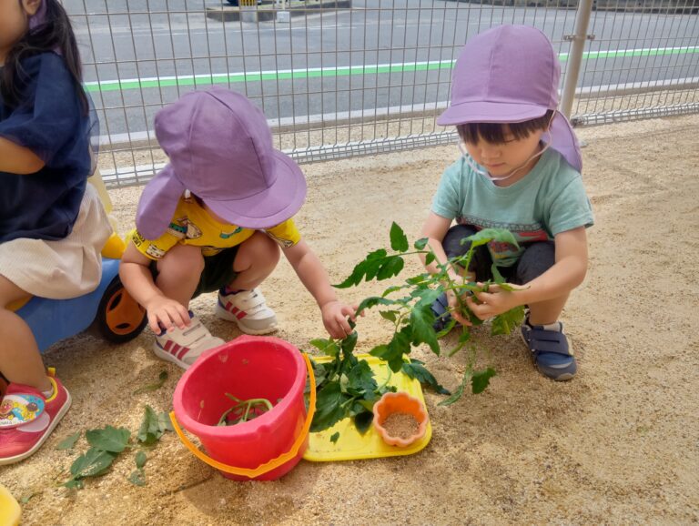 2歳児あめチーム「こんなことして遊んでいるよ」
