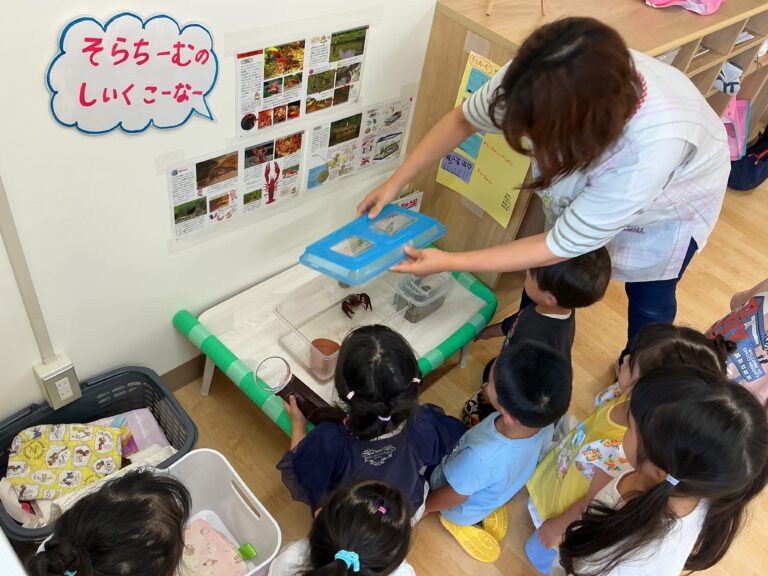 4歳児そらチーム「みんなでお世話中！飼育コーナーができました」