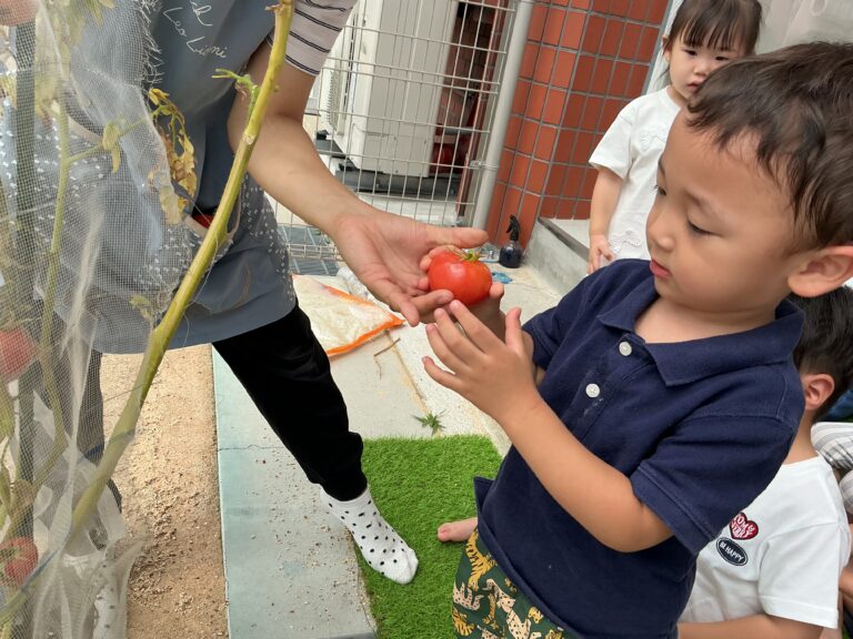 2歳児あめチーム「とまとをたべたよ」